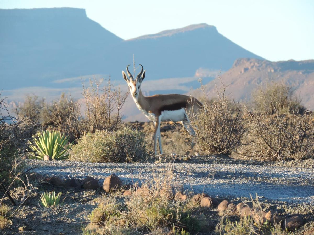 Teri-Lemveli Lodge Beaufort West Eksteriør billede