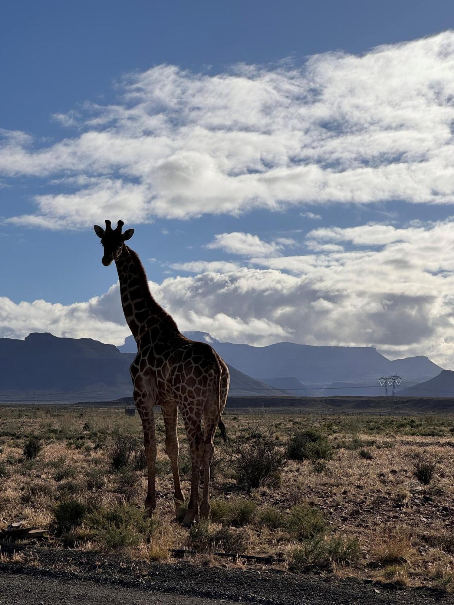 Teri-Lemveli Lodge Beaufort West Eksteriør billede