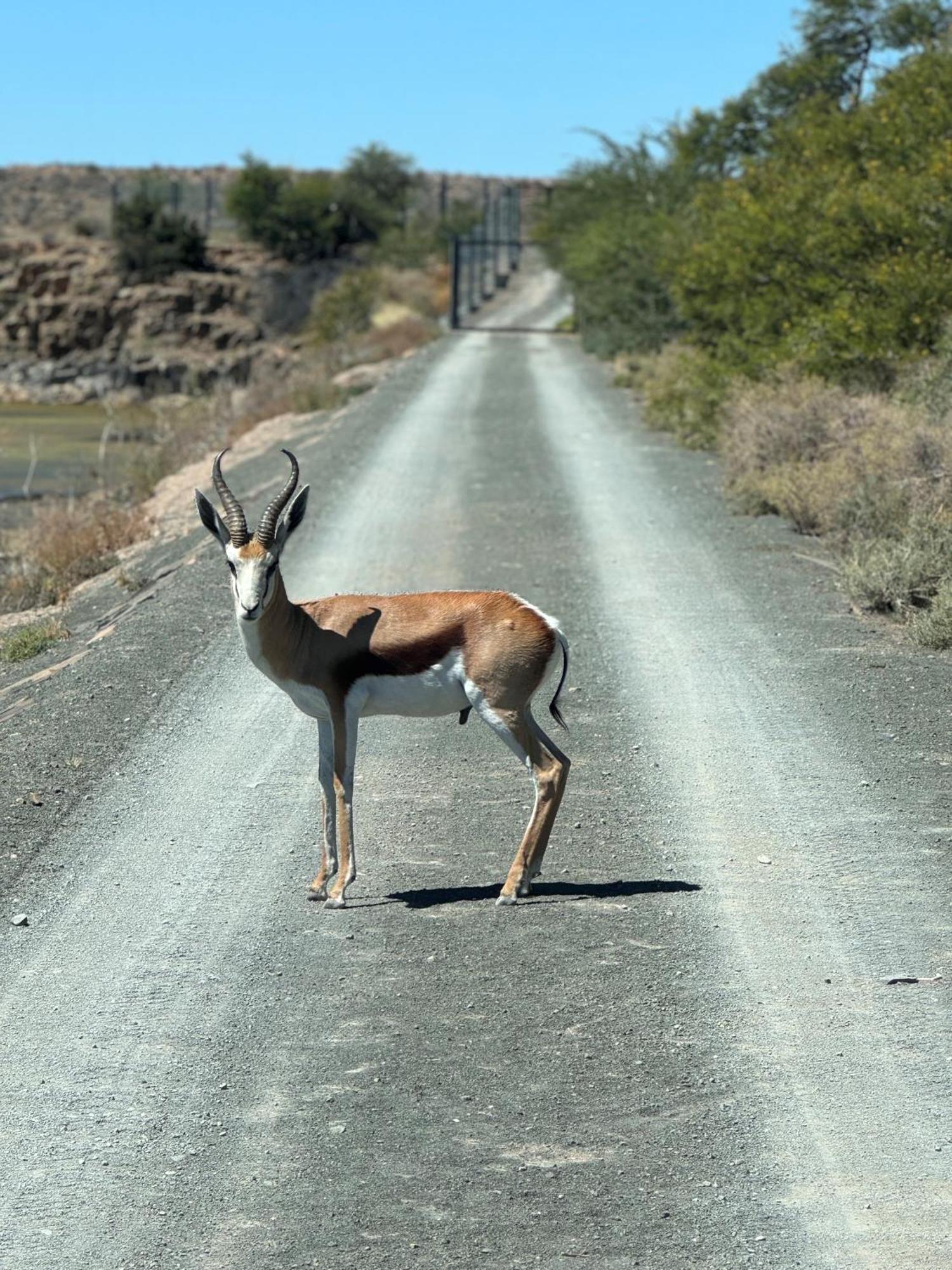 Teri-Lemveli Lodge Beaufort West Eksteriør billede