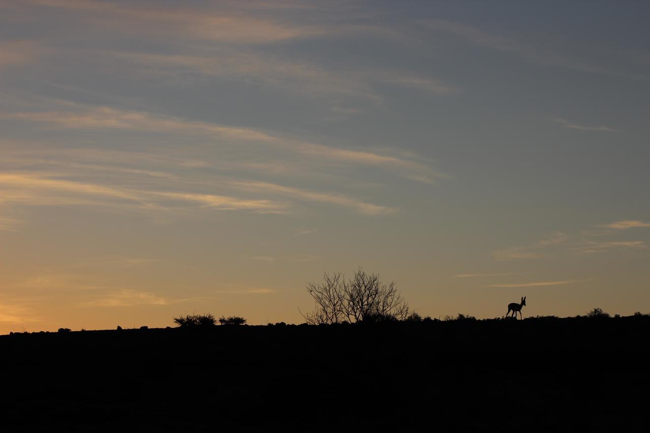 Teri-Lemveli Lodge Beaufort West Eksteriør billede