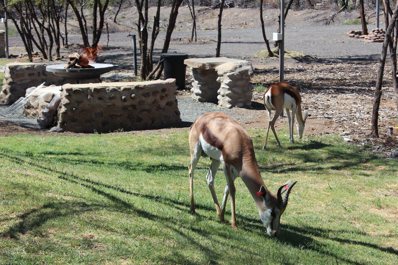 Teri-Lemveli Lodge Beaufort West Eksteriør billede